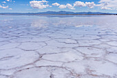 Clouds refected on a shallow sheet of water over polygon shapes on the salt flats of Salinas Grandes in northwest Argentina.