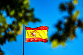 Spanish flag majestically waving against a clear blue sky in Seville, capturing a sense of national pride and vibrant culture.