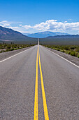 The Recta del Tin Tin, a long, straight road through Los Cardones National Park in Salta Province, Argentina.