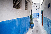 Erkunden Sie die leuchtend blaue und weiße Architektur der Kasbah der Udayas, einer historischen Stätte in Rabat, Marokko, die ihr kulturelles Erbe präsentiert