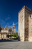 View the stunning architecture of Seville Cathedral and the Royal Alcazar’s walls under a clear blue sky in the heart of Andalucia.