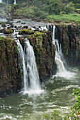 Der Nationalpark Iguazu Falls in Argentinien, von Brasilien aus gesehen. Ein UNESCO-Welterbe. Im Bild sind die Drei-Musketiere-Fälle oder Salto Tres Mosqueteros zu sehen