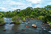 Tropical rainforest along the Iguazu River in Iguazu National Park in Argentina. A UNESCO World Heritage SIte.