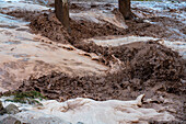 Turbulent waters with flash flooding after a summer rain storm in Moab, Utah.