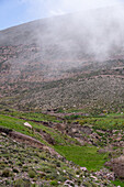 Low clouds over a rural farm house in the mountains on the Cuesta de Lipan between Purmamarca & Salinas Grande, Argentina.