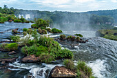 Eine ruhige Szene am Fluss Iguazu im Nationalpark Iguazu Falls in Argentinien. Eine Stätte des UNESCO-Weltkulturerbes. Nur wenige Meter entfernt stürzt der Fluss über den mächtigen San Marin-Wasserfall, der über 200 Fuß in die Tiefe stürzt