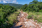 Ein kleiner Bach, der im UNESCO-Biosphärenreservat Yungas in der Nähe des Calilegua-Nationalparks in Argentinien in den San Lorenzo-Fluss mündet