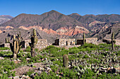 Partially reconstructed ruins in the Pucara of Tilcara, a pre-Hispanic archeological site near Tilcara, Humahuaca Valley, Argentina.