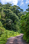 Provinzstraße 83 in die Yungas im Calilegua-Nationalpark im UNESCO-Biosphärenreservat Yungas in Argentinien