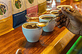 Tastetesting at Coffee Farm (Finca Don Pepe), Panama