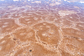 Clouds refected on a shallow sheet of water over polygon shapes on the salt flats of Salinas Grandes in northwest Argentina.