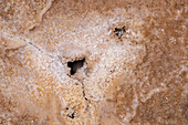 Close-up views of eroded cavities under water in the surface of the salt flats of Salinas Grandes in northwest Argentina.