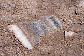 Salt rocks showing layered deposition at the Salinas Grandes salt flats on the altiplano in northwest Argentina.