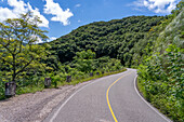 Route 9 winding through the lush Yungas subtropical rainforest between Salta and San Salvador de Jujuy, Argentina.