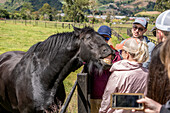 Tour group in Veggie Farm Cerro Punta, Panama