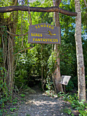 Entrance of the Sendero Seres Fantasticos or Fantastic Beings Trail in Calilegua National Park in Argentina. The trail is lined with metal sculptures of mythical figures from Argentine folklore.