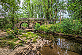 The tranquil river Tera meanders beneath a stone bridge, surrounded by lush greenery in Almarza, Soria, showcasing natural beauty.