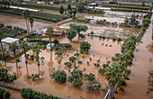 Flooded lands, after a great storm, in Amposta, Tarragona, Spain. 3rd Sep, 2023