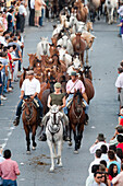 Almonte, Spain, June 26 2009, Every June 26, riders guide wild mares and colts from Doñana marshland into Almonte, celebrating the historic Saca de las Yeguas festival.