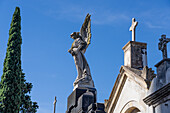 Eine Engelsstatue auf einem Mausoleum auf dem Recoleta-Friedhof in Buenos Aires, Argentinien