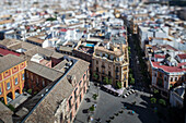 Ein Blick auf das Stadtzentrum von Sevilla in Richtung Osten zeigt die atemberaubende Architektur vom Giralda-Turm aus und hebt Wahrzeichen und belebte Straßen hervor