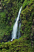 Der Nationalpark Iguazu Falls in Argentinien, von Brasilien aus gesehen. Ein UNESCO-Welterbe. Das Bild zeigt einen kleinen, unbekannten Wasserfall, umgeben von tropischer Vegetation