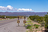 The Recta del Tin Tin, a long, straight road through Los Cardones National Park in Salta Province, Argentina.