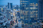 Stadtbild von Tokio. Panoramablick über die Stadt von der Beobachtungsetage des Tokyo Tower, Tokio, Japan