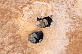 Close-up views of eroded cavities under water in the surface of the salt flats of Salinas Grandes in northwest Argentina.