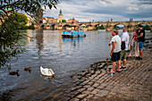 Tourists watching swans and ducks in Vltava River, Prague