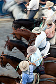 Every June 26, cowboys gather in Almonte to drive wild mares and colts from Doñana marshland to the town in a historic tradition.