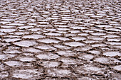 Polygon shapes on the salt flats of Salinas Grandes in northwest Argentina.