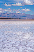 Polygon shapes on the salt flats of Salinas Grandes in northwest Argentina, with snow-capped Nevado de Chañi behind. It is the tallest peak in Jujuy Province.