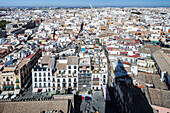 Das pulsierende Stadtzentrum von Sevilla entfaltet sich unter dem Giralda-Turm mit seiner historischen Architektur und den belebten Straßen unter klarem Himmel