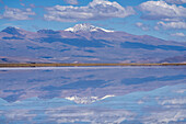 The snow-capped Nevado de Chañi refected on a shallow sheet of water on the salt flats of Salinas Grandes in northwest Argentina.