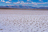 Polygon shapes on the salt flats of Salinas Grandes in northwest Argentina, with snow-capped Nevado de Chañi behind. It is the tallest peak in Jujuy Province.