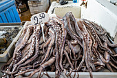 Mercado De Marisco Cinta Costera (Seafood Market).