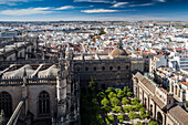 Seville’s Cathedral and the lush Court of Oranges under a bright sky, showcasing the city\'s rich architectural heritage.