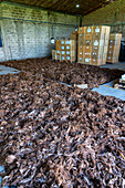 Washed & spin-dried llama wool laid out on tarps to dry at Hilandería Warmi, a weaving mill in Palpalá, Argentina.