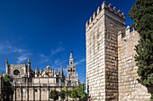 Die Südseite der Kathedrale von Sevilla steht stolz neben den historischen Mauern des Real Alcazar unter einem strahlend blauen Himmel in Sevilla