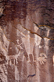 A pre-Hispanic Native American rock art or petroglyph panel in Daddy's Canyon, a tributary of Nine Mile Canyon, Utah.