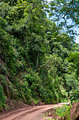 Provincial Route 83 into the yungas in Calilegua National Park in the UNESCO Yungas Biosphere Reserve in Argentina.