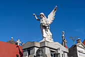 Eine Engelsstatue auf einem Mausoleum auf dem Recoleta-Friedhof in Buenos Aires, Argentinien