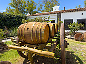 A wooden cart with wine casks as decoration in the patio of the Bodega Nanni Winery, Cafayete, Argentina.