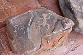 Pre-Hispanic Amerindian rock art petroglyphs on a stone in the Pio Pablo Diaz Archeological Museum in Cachi, Argentina. An anthropomorphic or human figure is depicted.