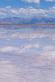 Clouds refected on a shallow sheet of water on the salt flats of Salinas Grandes in northwest Argentina.