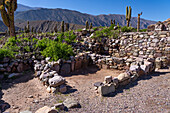 Partially reconstructed ruins in the Pucara of Tilcara, a pre-Hispanic archeological site near Tilcara, Humahuaca Valley, Argentina.