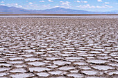 Polygon shapes on the salt flats of Salinas Grandes in northwest Argentina.