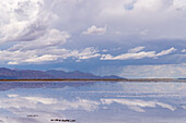 Clouds refected on a shallow sheet of water on the salt flats of Salinas Grandes in northwest Argentina with a storm over the Andes behind.