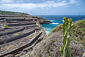 Terrassenförmig angelegte landwirtschaftliche Felder auf vulkanischem Gelände bei Bollullo, Teneriffa. Blick auf den Atlantischen Ozean auf den Kanarischen Inseln, Spanien